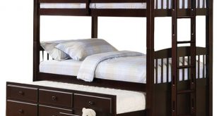 Bunk & Loft Beds You'll Love | Wayfair
