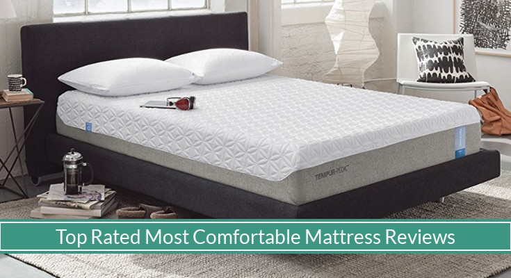 Best Rated Comfortable Beds (Reviews Updated For 2019) - MySleepyFerret