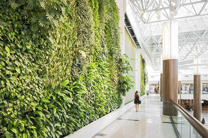 Gorgeous green walls: They do more than look beautiful