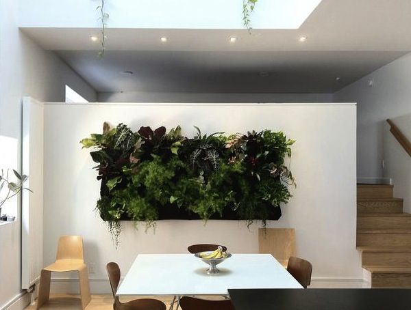 Green Living Walls for Modern Homes