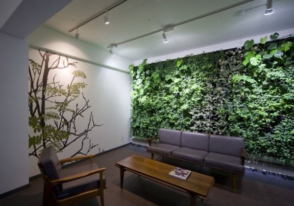Green Living Walls for Modern Homes
