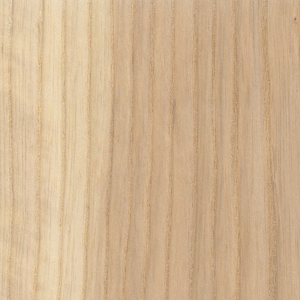 White Ash | The Wood Database - Lumber Identification (Hardwood)