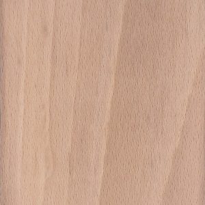 European Beech | The Wood Database - Lumber Identification (Hardwood)