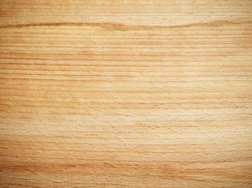 Characteristics of Beechwood | URBANARA UK