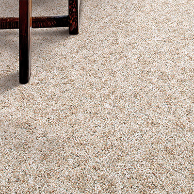 Shop Carpet at The Home Depot