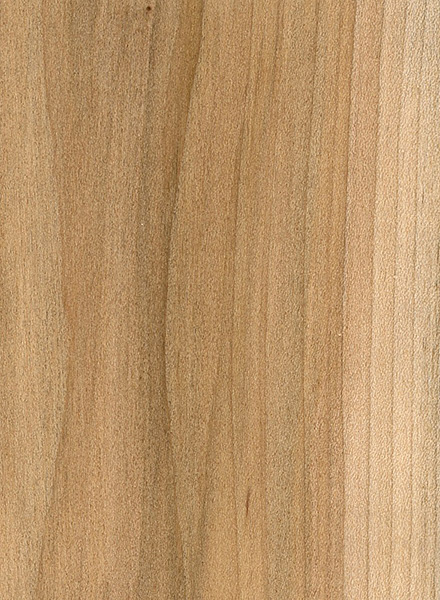 Red Maple | The Wood Database - Lumber Identification (Hardwood)