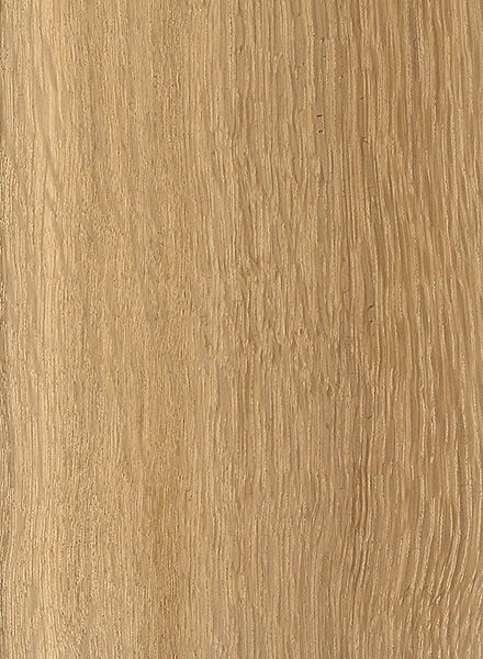 Oregon White Oak | The Wood Database - Lumber Identification (Hardwood)