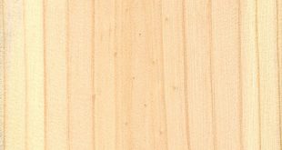 Red Pine | The Wood Database - Lumber Identification (Softwood)