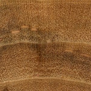 Plum | The Wood Database - Lumber Identification (Hardwood)