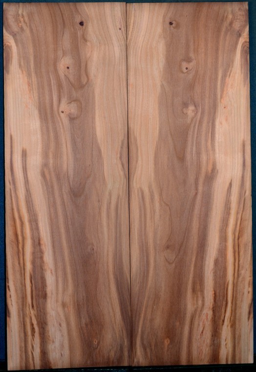 Plum tonewood, Plum guitar top - Electric guitar wood