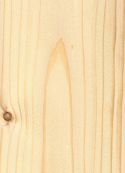 Norway Spruce | The Wood Database - Lumber Identification (Softwood)