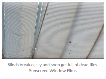 Conservatory Roof Blinds - Sunscreen Window Films