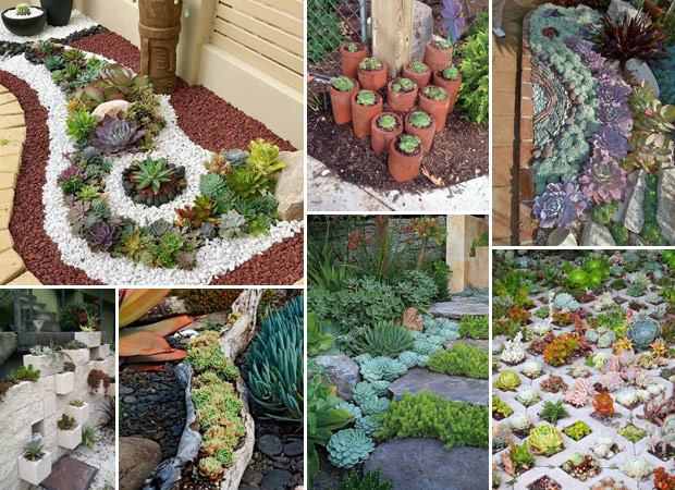 Amazingly Garden Ideas