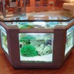 Aquarium Feature On Coffee Table Design Ideas