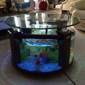 Loving this aquarium coffee table | Fish Tanks | Aquarium, Home