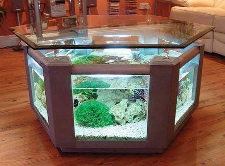 Aquarium Feature On Coffee Table Design Ideas