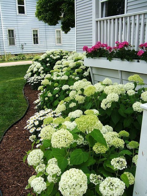 35 Beautiful Flower Garden for Your Front Yard | u2022 Homesteading