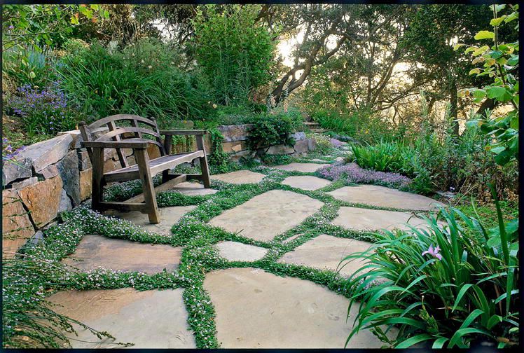65 Best Front Yard and Backyard Landscaping Ideas - Landscaping Designs