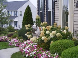 25+ Small Front Yard Landscaping With Flowers Pictures and Ideas on