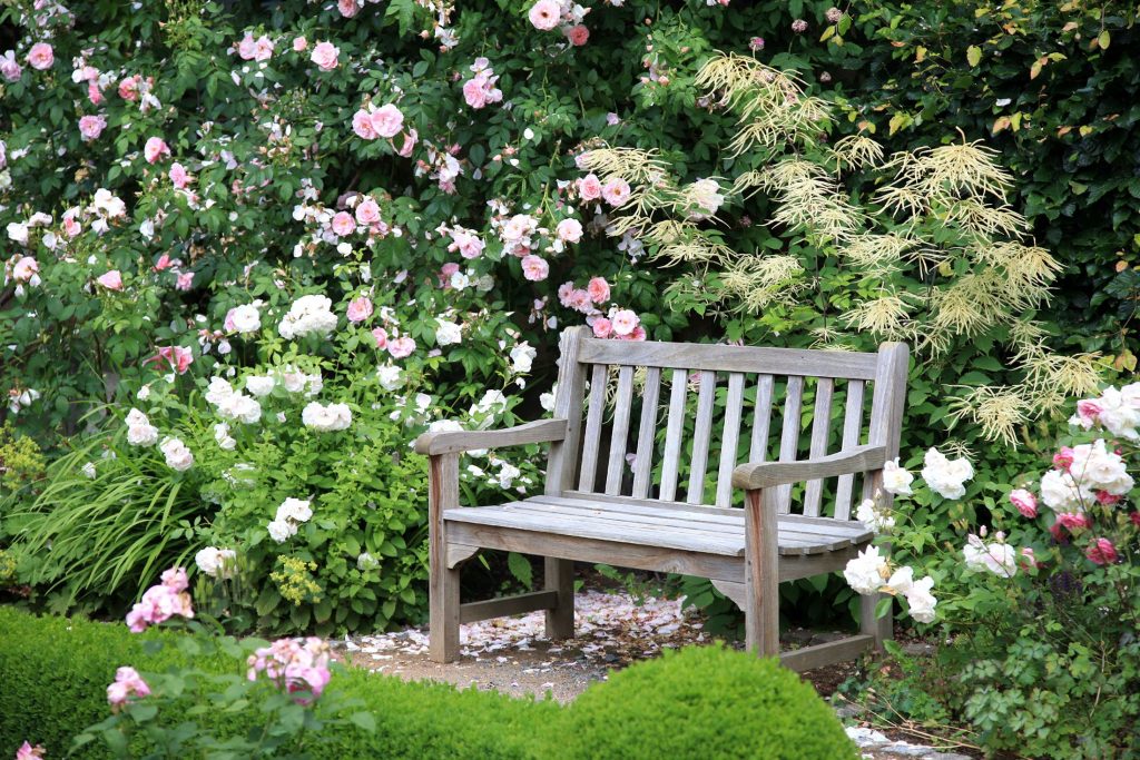 Beautiful Rose Garden Ideas 10