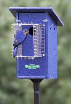 50 Amazing Bird House Ideas For Your Backyard Space | Bird houses