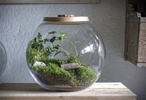 Awesome Bonsai Terrarium On The Jars 71 - DecOMG