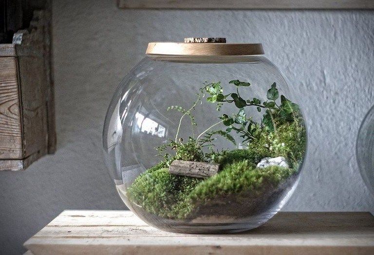 70+ Nice Bonsai Terrarium in the Jars Ideas | Diy & craft