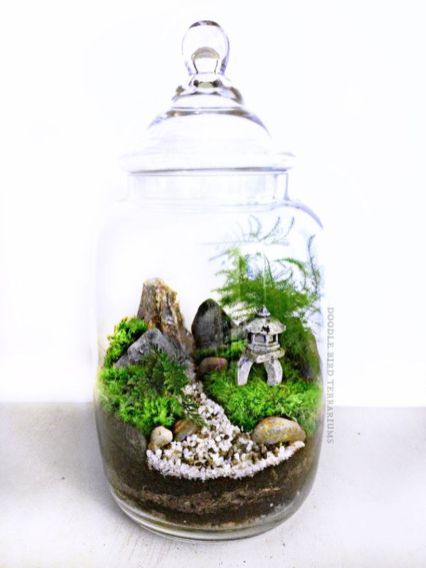 Bonsai Terrarium Miniature Landscaping Jars 7