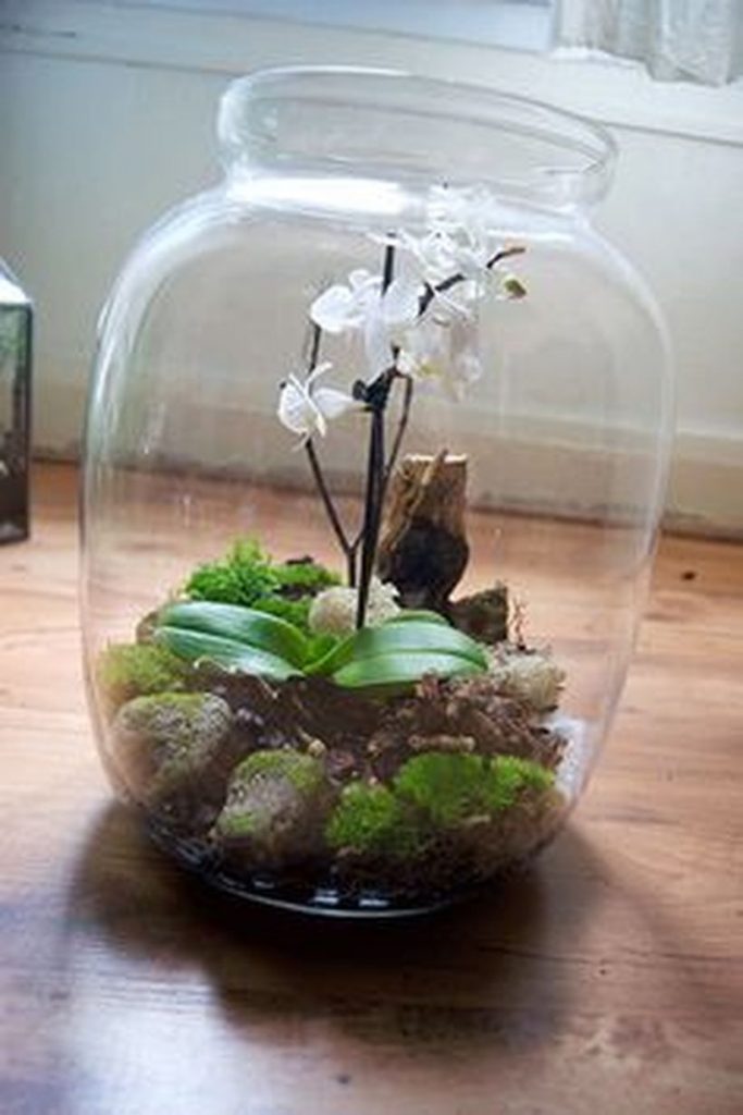 Bonsai Terrarium Miniature Landscaping Jars 8