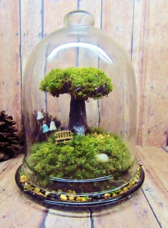 Bonsai Terrarium Miniature Landscaping Jars