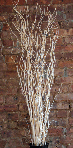 Decorative Branches / Dried Curly Willow Branches | wedding ideas in