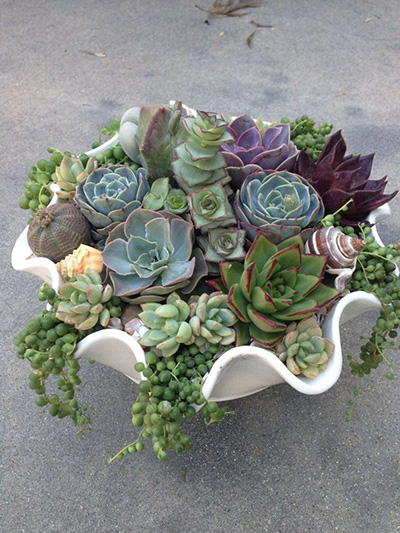 Top 10 Succulent Decorating Ideas - save on crafts