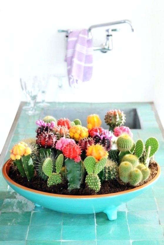 Cactus Decor Ideas For Your Home 6