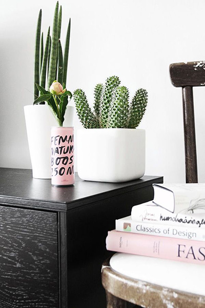Cactus Decor Ideas For Your Home 7