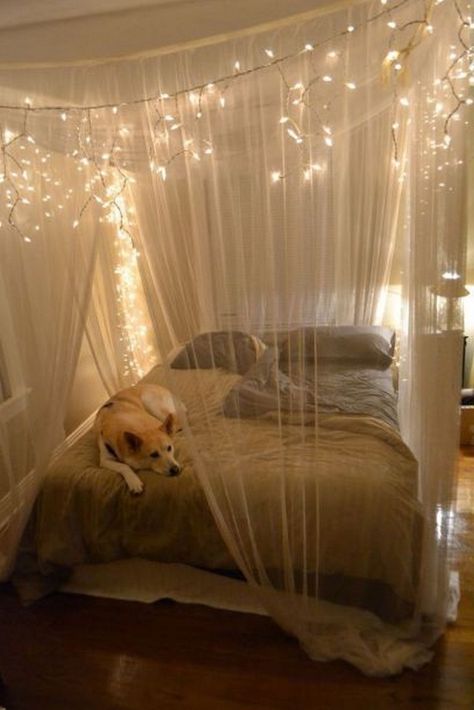 55 Inspiring Canopy Bed with Sparkling Lights Decor Ideas | Bedroom