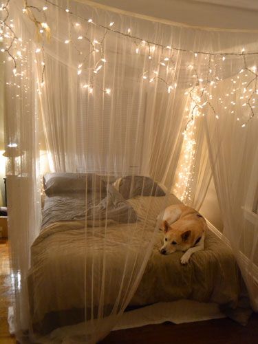 Canopy With Sparkling Lights Decor Ideas 8