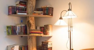 15 Insanely Creative Bookshelves You Need to See in 2019 | Dear