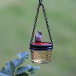 Diy Hummingbird Feeder Ideas