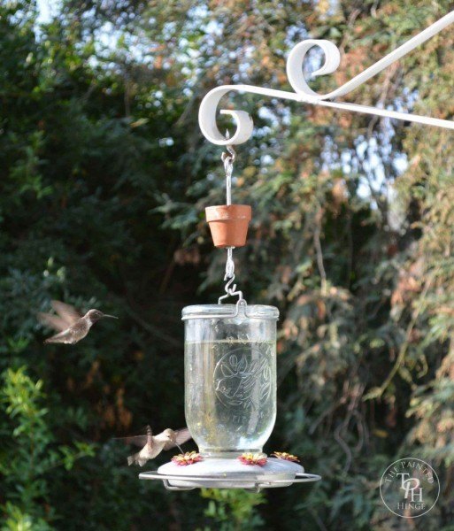 Diy Hummingbird Feeder Ideas 8