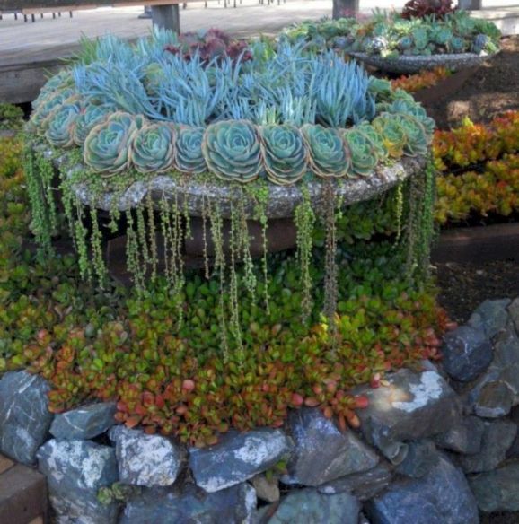 46 Creative Ways to Make an Enchanting Succulent Garden in Your