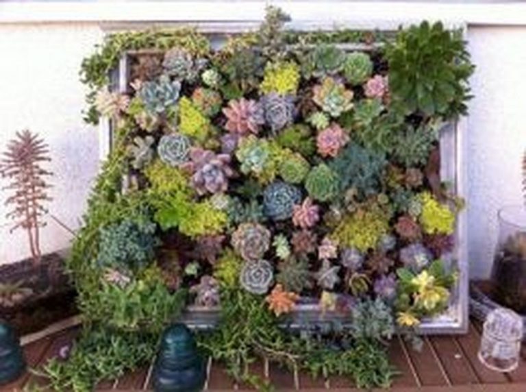 46 Creative Ways To Make An Enchanting Succulent Garden In Your