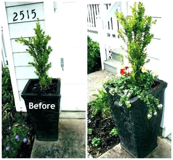 Front Door Planter Ideas Brilliant Planters Flower Pots Pretty
