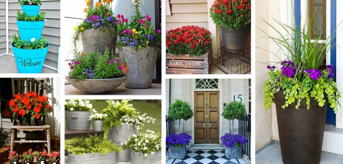 Front Door Flower Pots Ideas