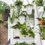 Indoor Gardening Ideas