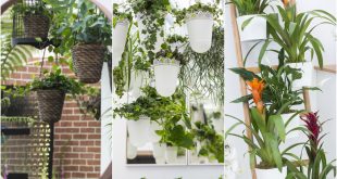 5 Easy Indoor Garden Ideas - Small Space Ideas