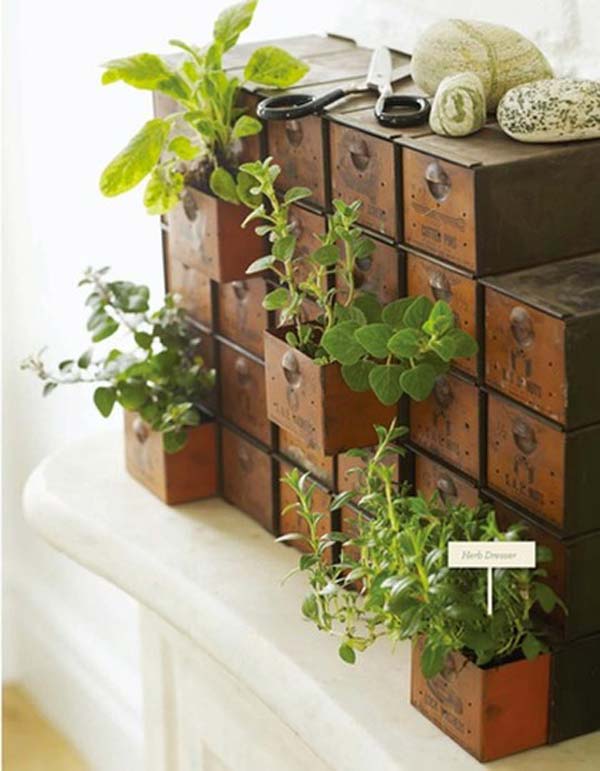 Indoor Gardening Ideas 5 Savillefurniture, Indoor Gardening Ideas