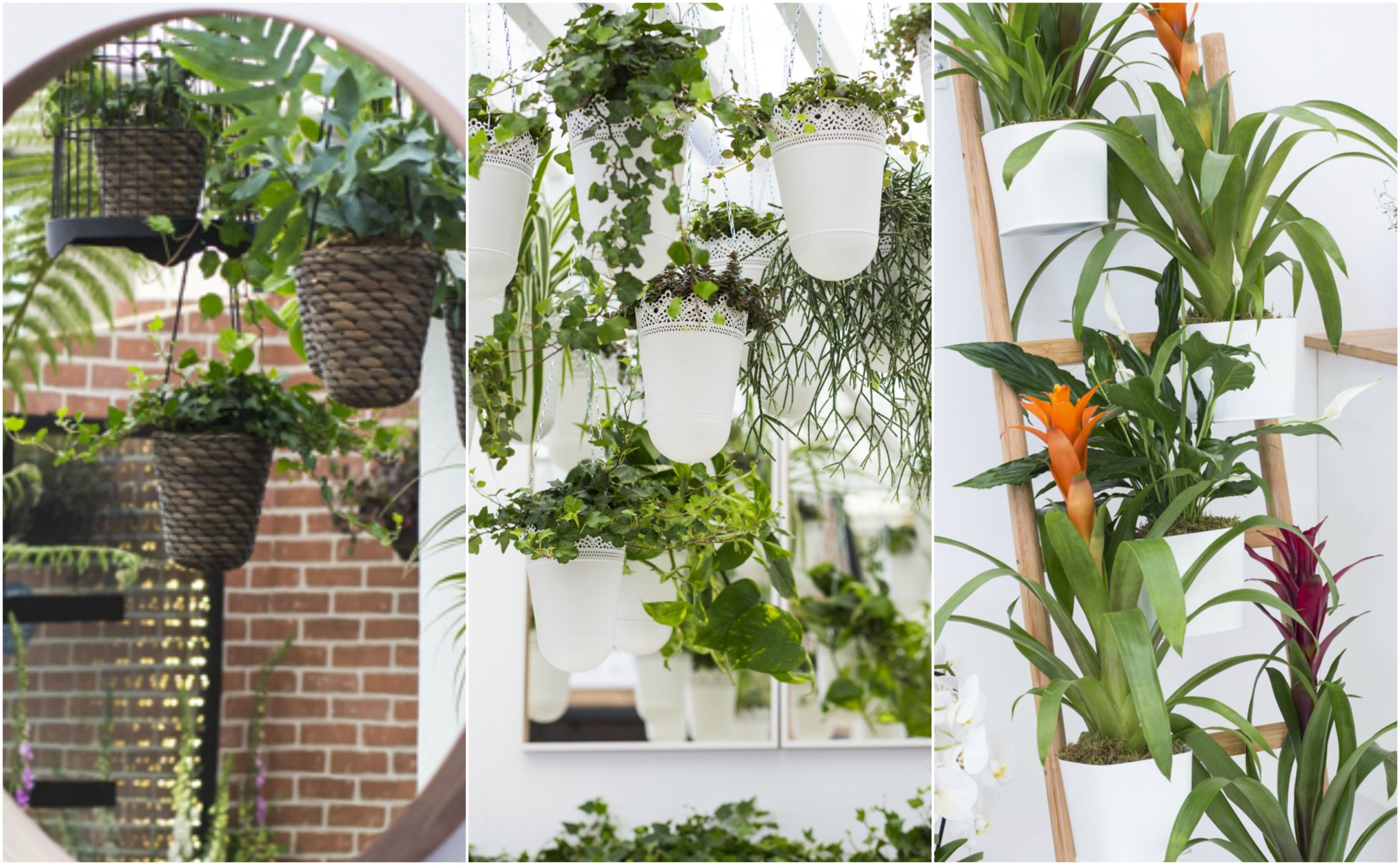 Indoor Gardening Ideas