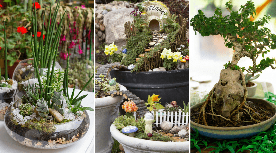 45 Amazing Indoor Garden Ideas: #27 is So Easy!