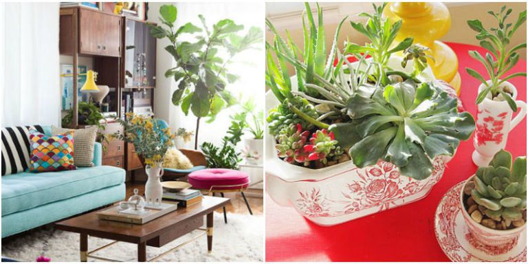 How To Decorate With Houseplants - Best Houseplant Decor