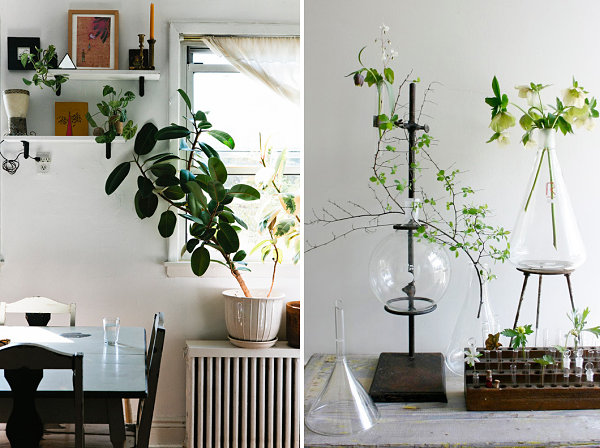 20 Unforgettable Indoor Plant Displays & Ideas